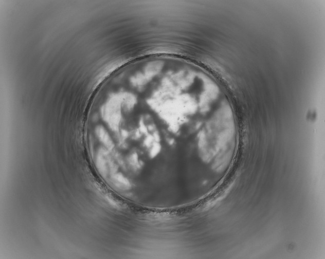 X0000091551121200709141510