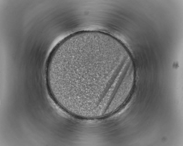 X0000091551122200709141510