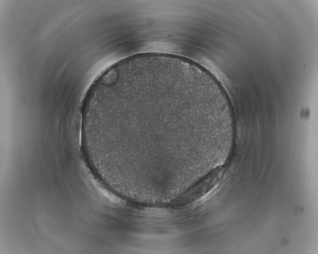 X0000091551123200709141510