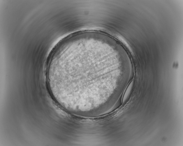 X0000091551124200709141510