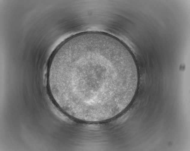 X0000091551126200709141510