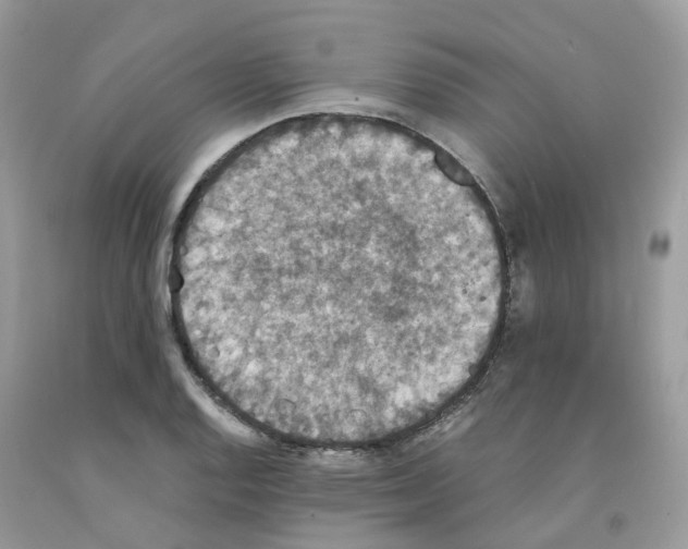 X0000091551128200709141510