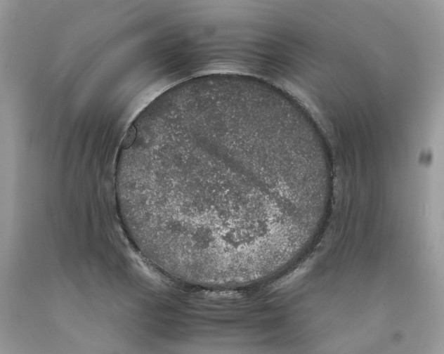 X0000091551129200709141510