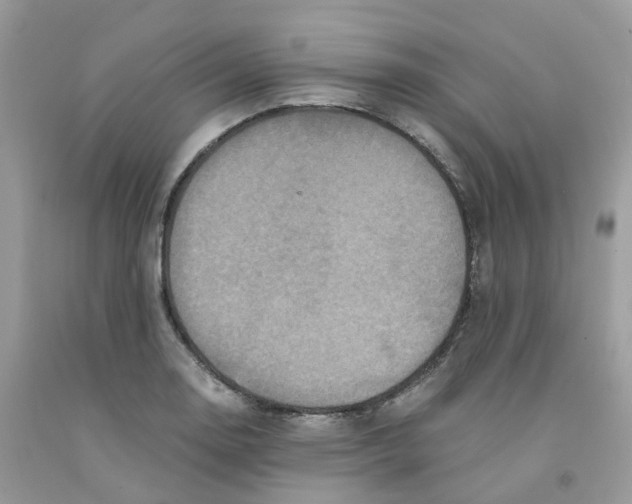 X0000091551130200709141510