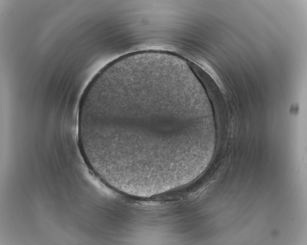 X0000091551132200709141510