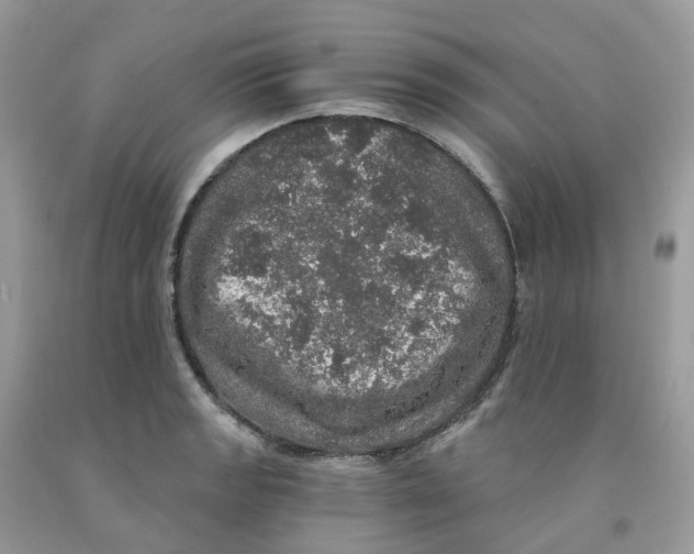 X0000091551133200709141510