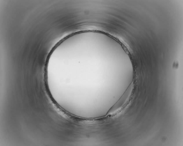 X0000091551134200709141510