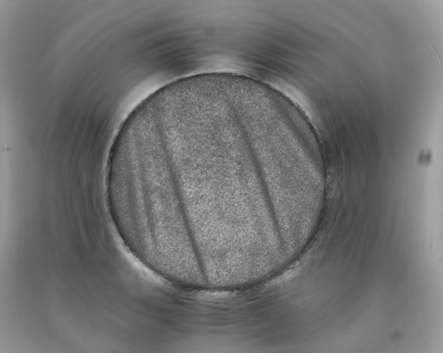 X0000091551135200709141510