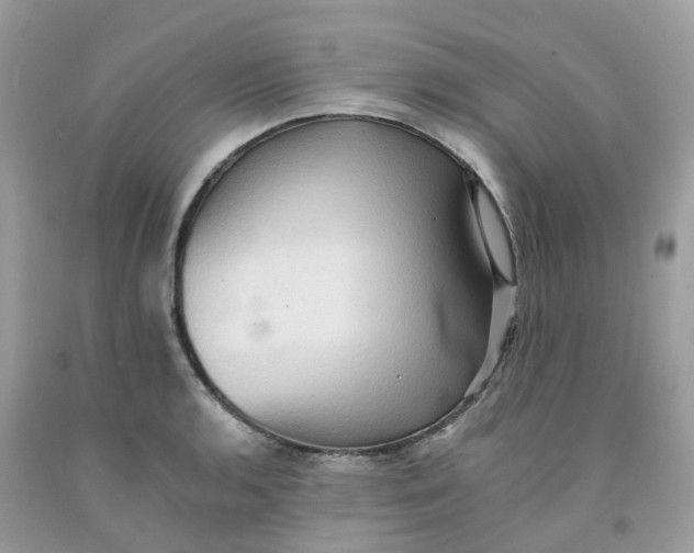 X0000091551136200709141510