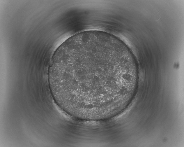 X0000091551137200709141510