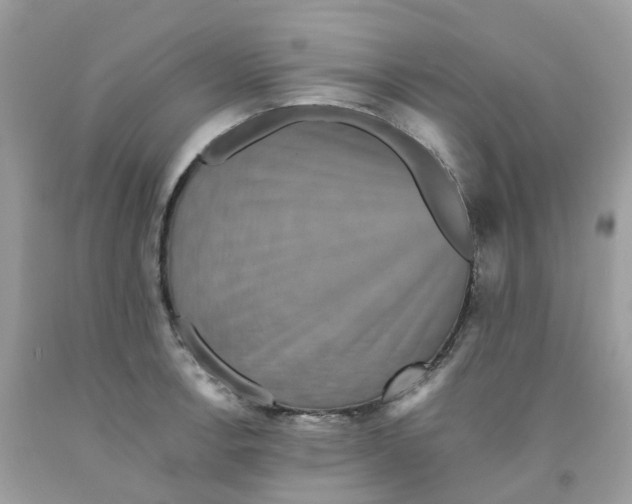 X0000091551138200709141510