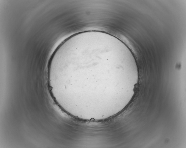 X0000091551140200709141511