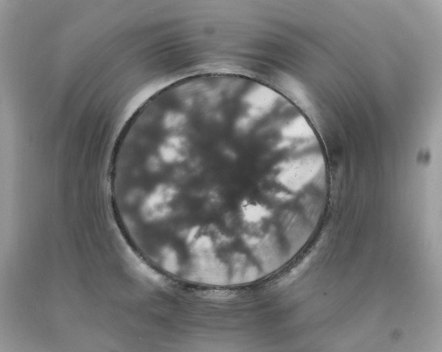 X0000091551141200709141511