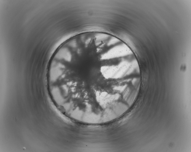 X0000091551142200709141511