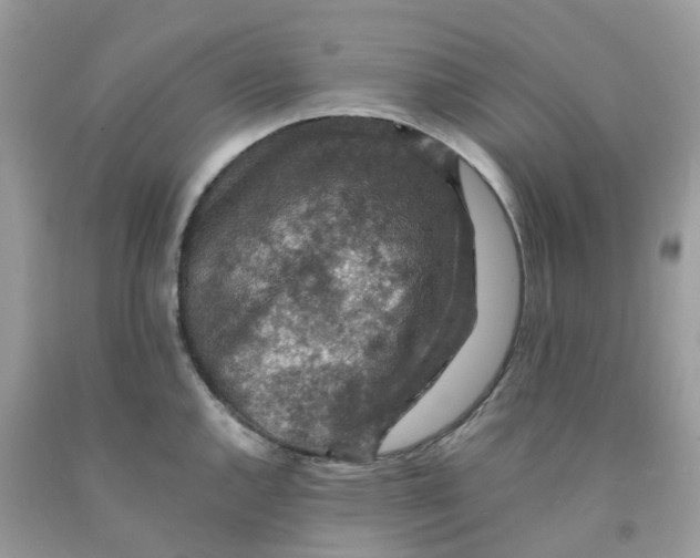 X0000091551144200709141511