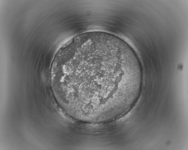 X0000091551145200709141511