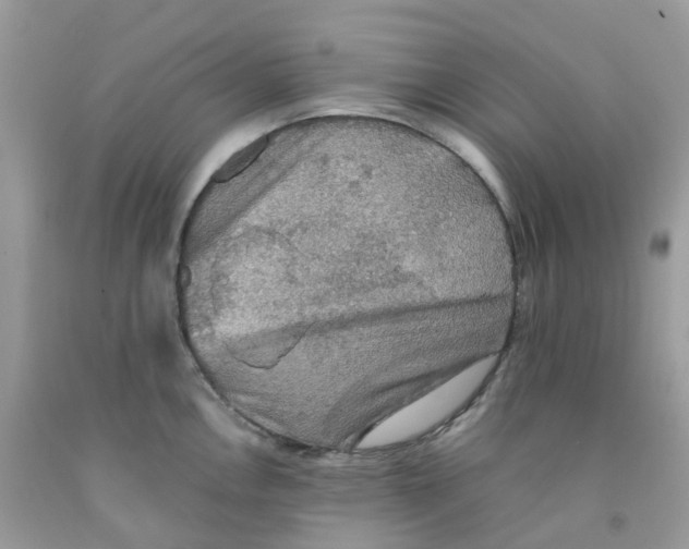 X0000091551146200709141511