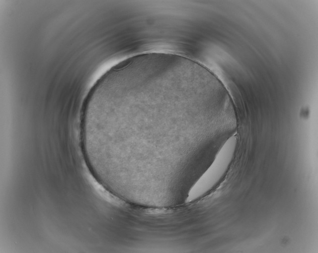 X0000091551147200709141511