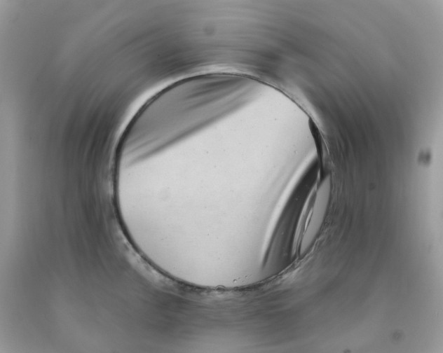 X0000091551148200709141511