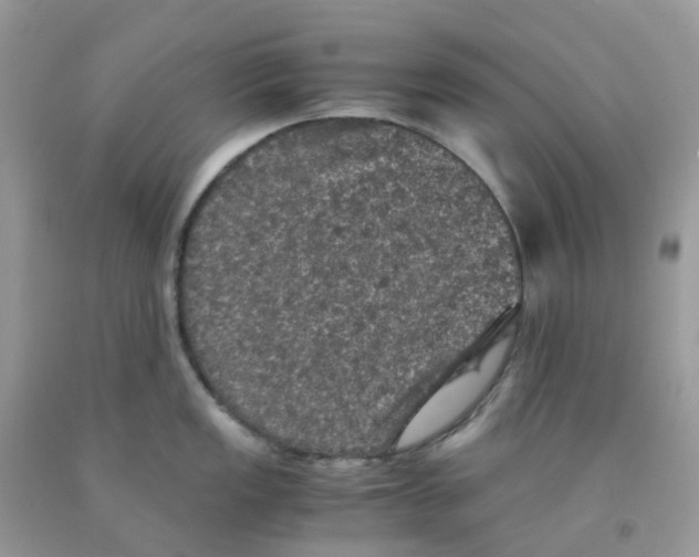 X0000091551149200709141511