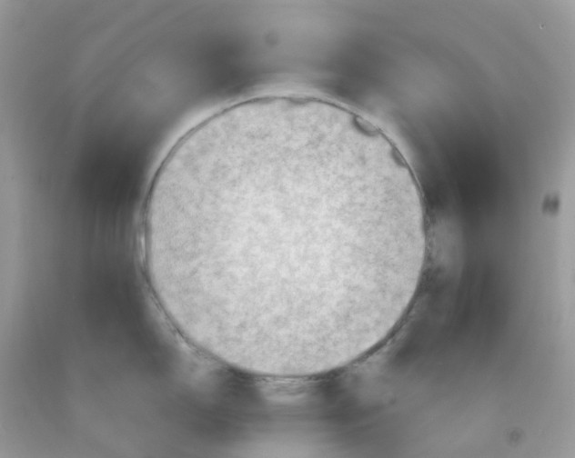 X0000091551150200709141511