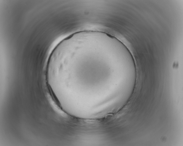 X0000091551152200709141511