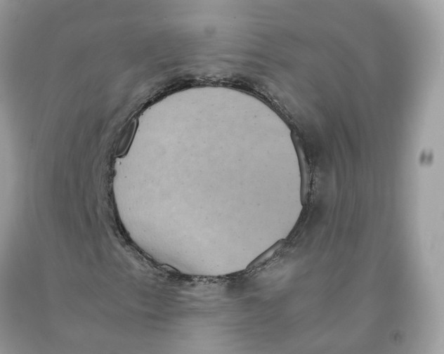 X0000091551153200709141510