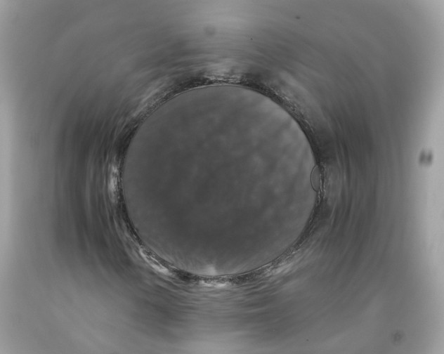 X0000091551154200709141510