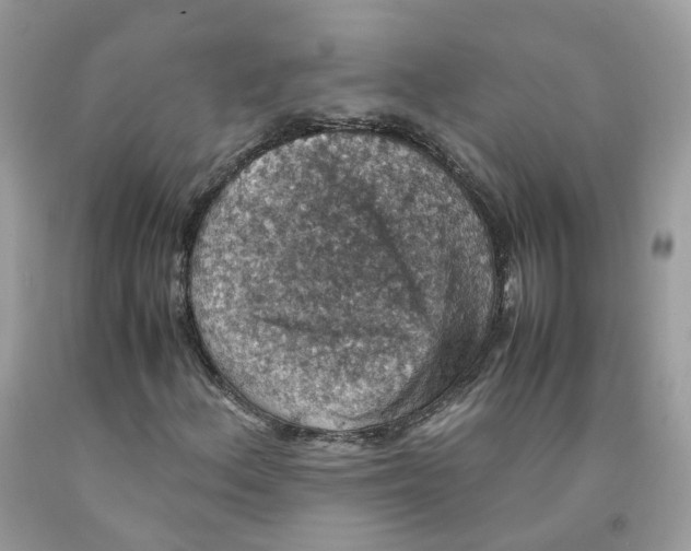 X0000091551156200709141510