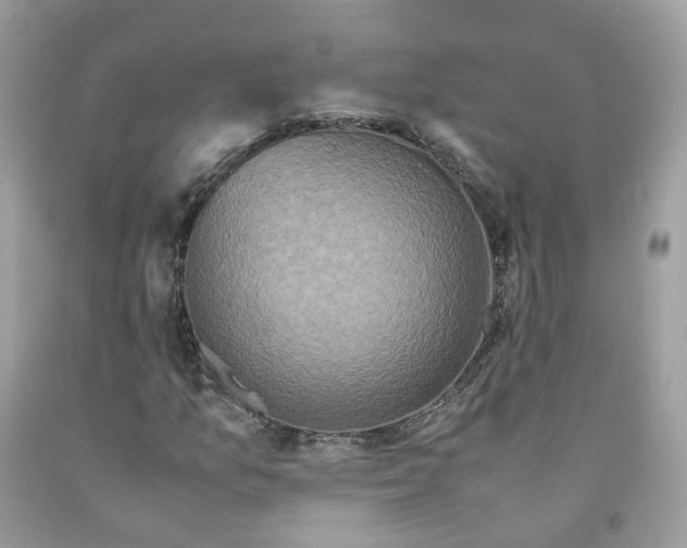 X0000091551157200709141510