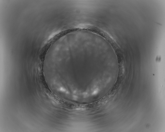 X0000091551158200709141510