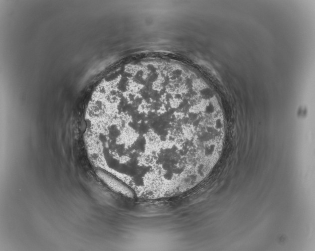 X0000091551159200709141510