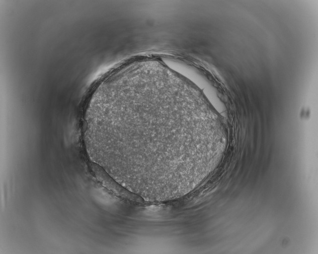 X0000091551160200709141510