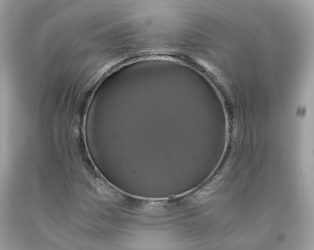 X0000091551161200709141510