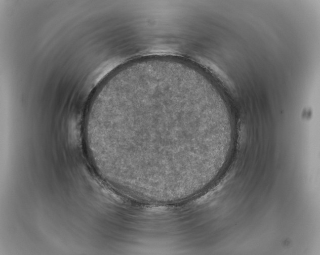 X0000091551162200709141510