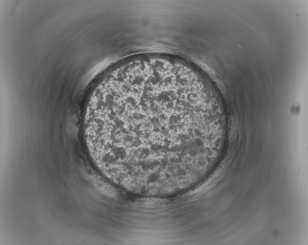 X0000091551163200709141510