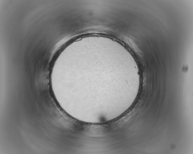 X0000091551164200709141510