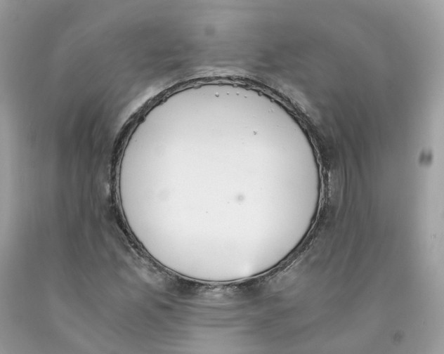 X0000091551165200709141510