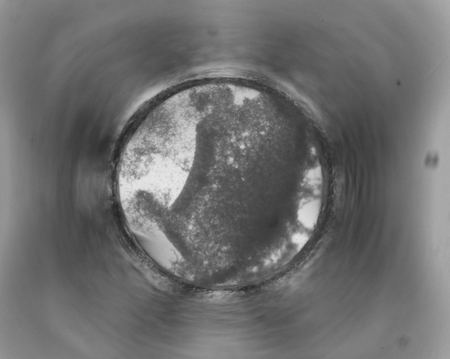 X0000091551166200709141510