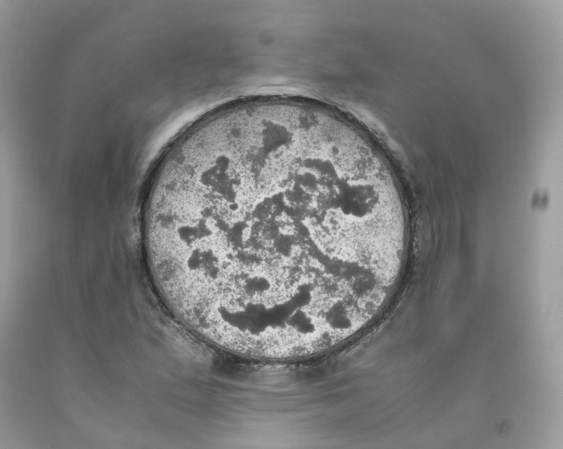 X0000091551167200709141510