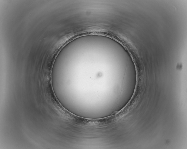 X0000091551169200709141510