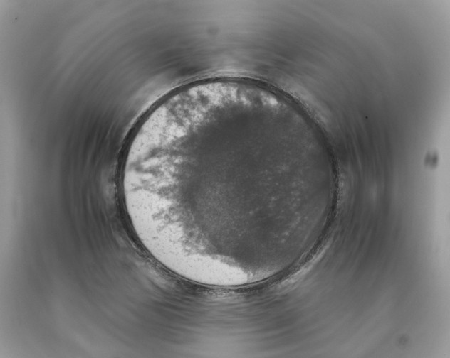 X0000091551170200709141510