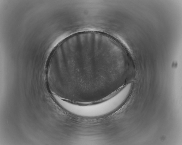 X0000091551173200709141510