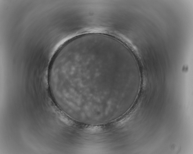 X0000091551174200709141510