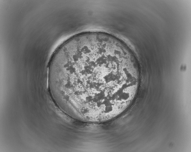 X0000091551175200709141510