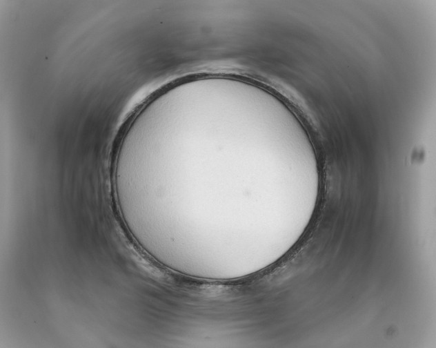 X0000091551176200709141510