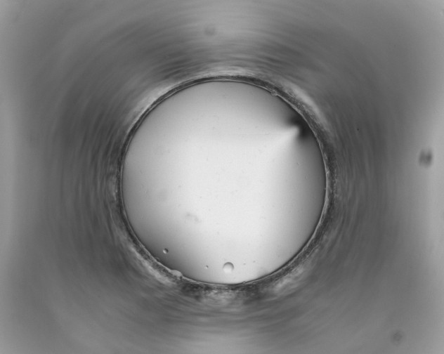 X0000091551177200709141510