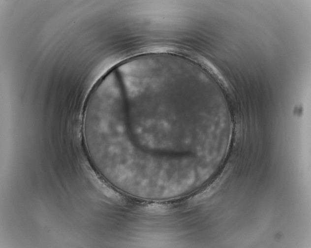 X0000091551178200709141510