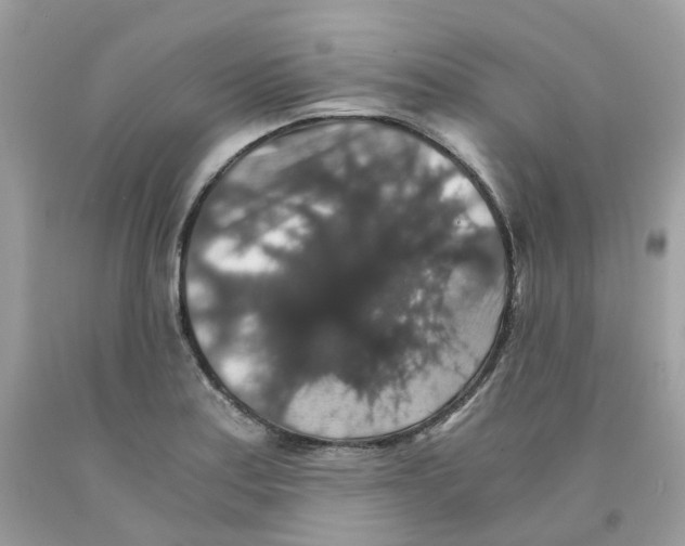 X0000091551179200709141510