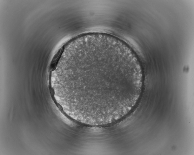 X0000091551180200709141510